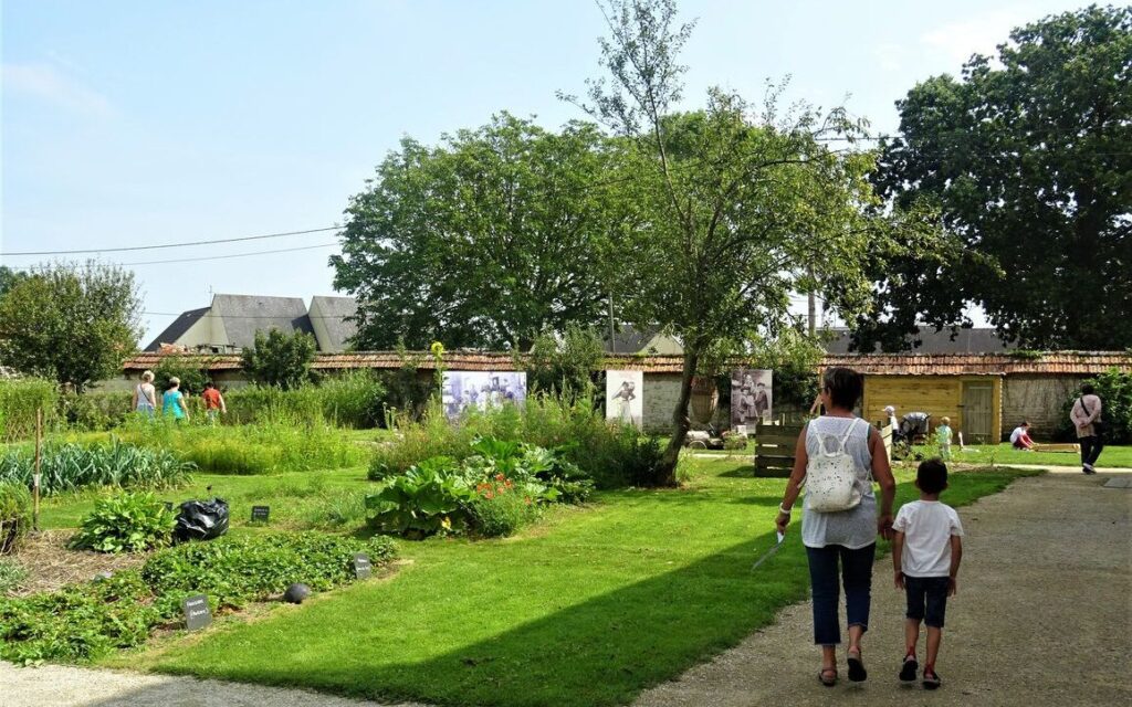 Potager de la ferme