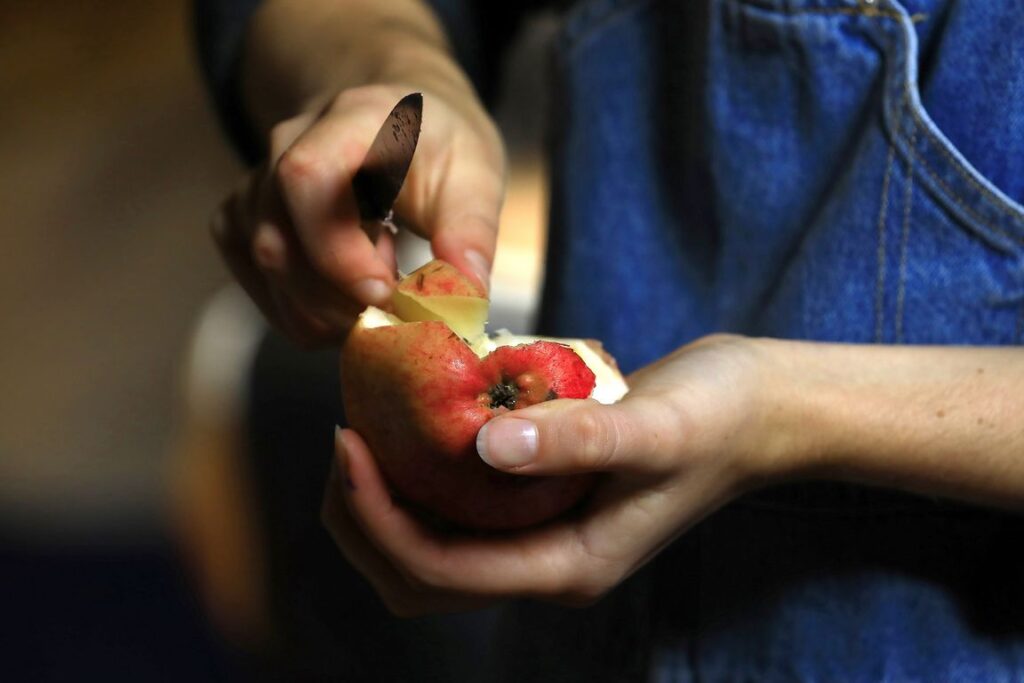 Dégustation de pommes