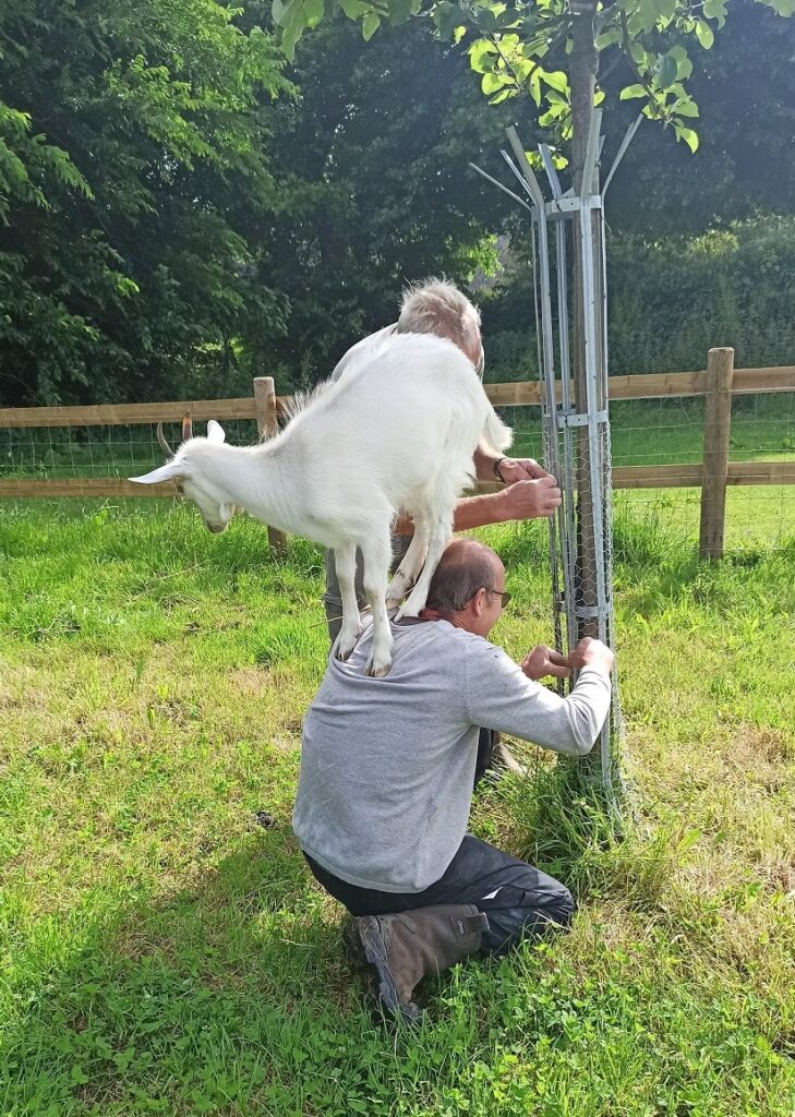 les agents soigneurs des animaux 