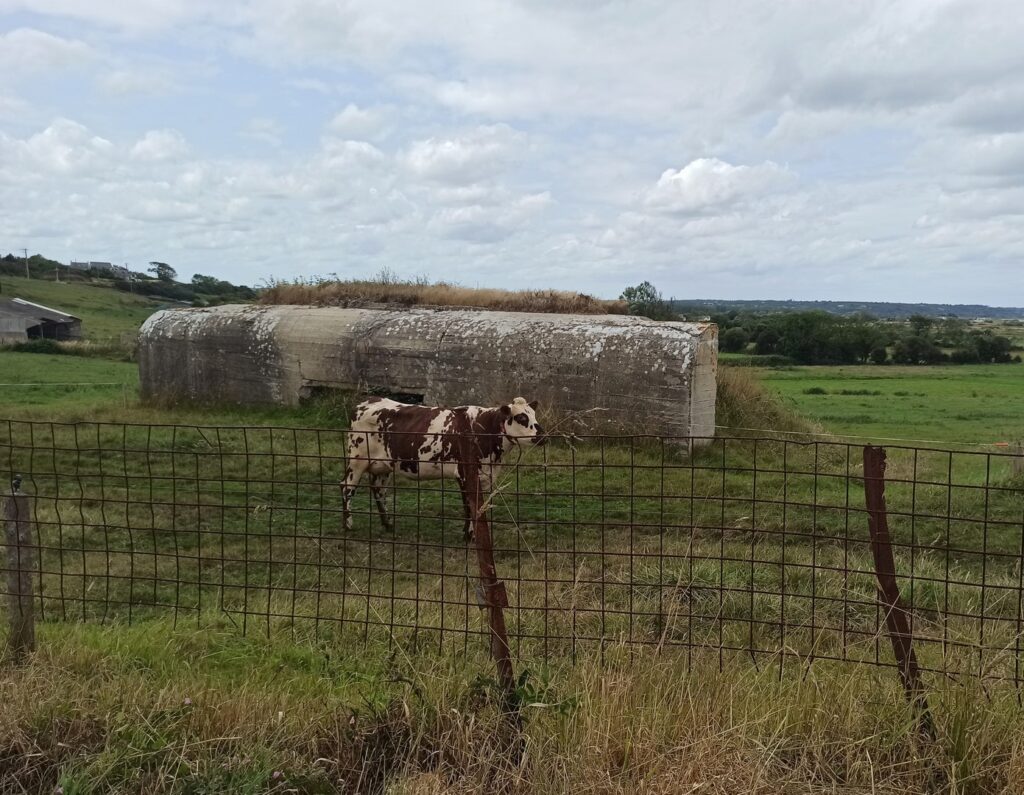 Clôture agricole en grillage américain et piquets allemande de la seconde guerre mondiale