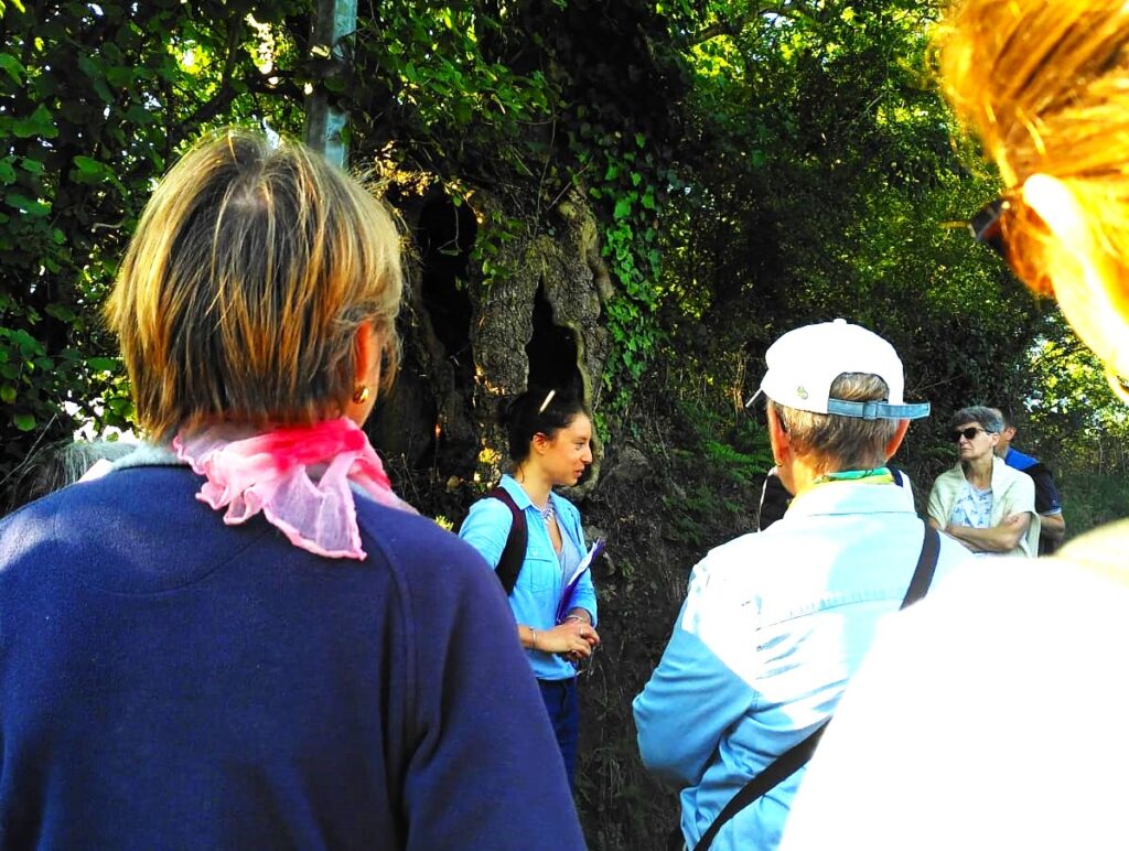 balade découverte du bocage 