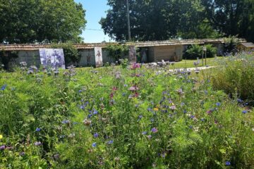 potager de la ferme