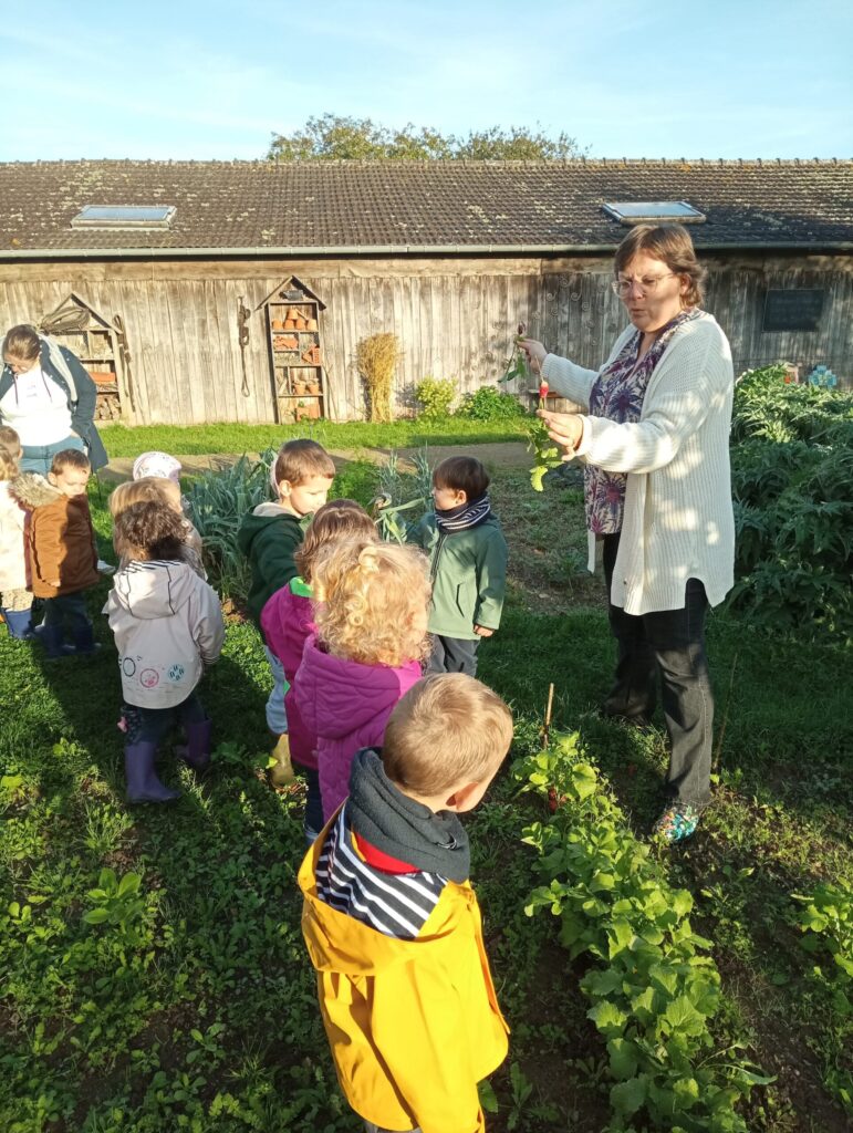 Médiatrice en train de présenter un radis aux enfants