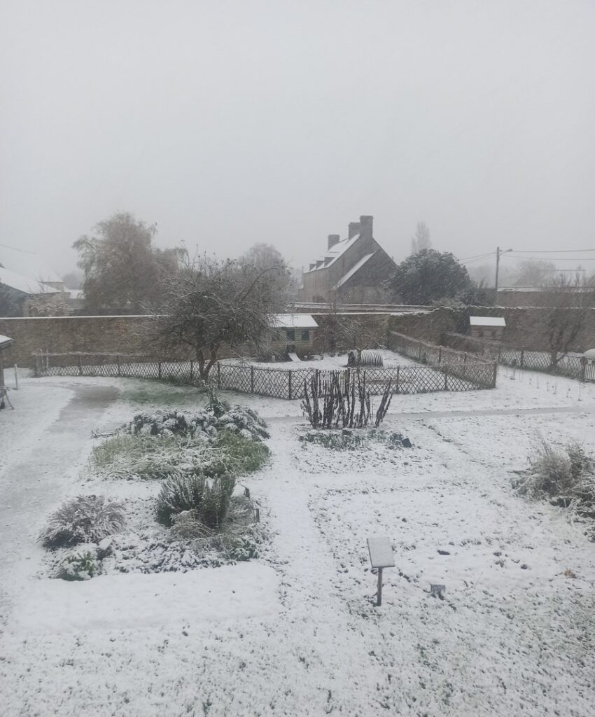 potager sous la neige