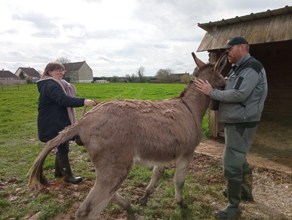 Accueil d'un nouveau collègue à la ferme-musée