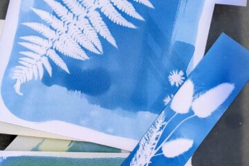 impression végétale par cyanotype
